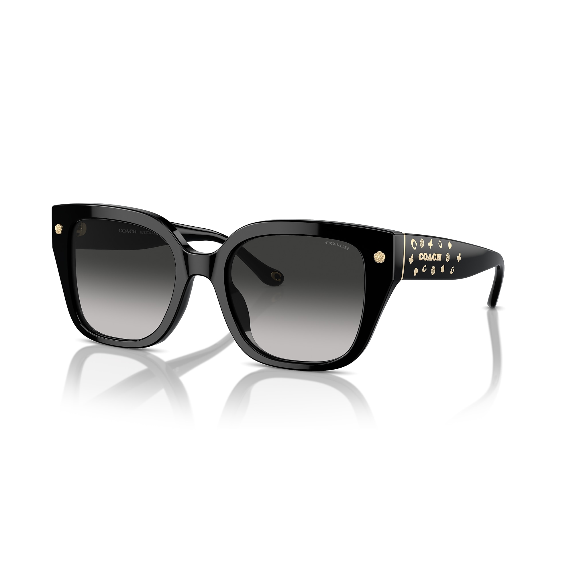 Sunglasses Coach HC8392U CR611 | Free Shipping | Glasses.com®