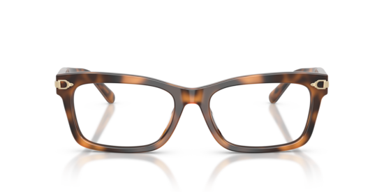 Eyeglasses Ralph Lauren RL6255U | Free Shipping | Glasses.com®