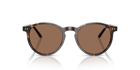 PH4236 Polo Ralph Lauren Shiny Dark Havana