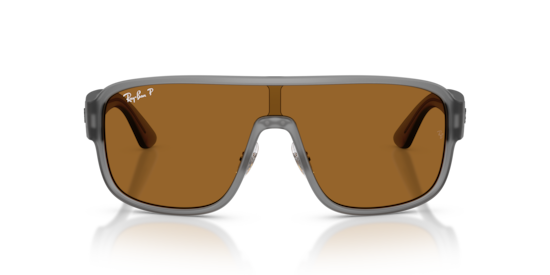 RB2229 Polarized S Lenses Ray-Ban Grey