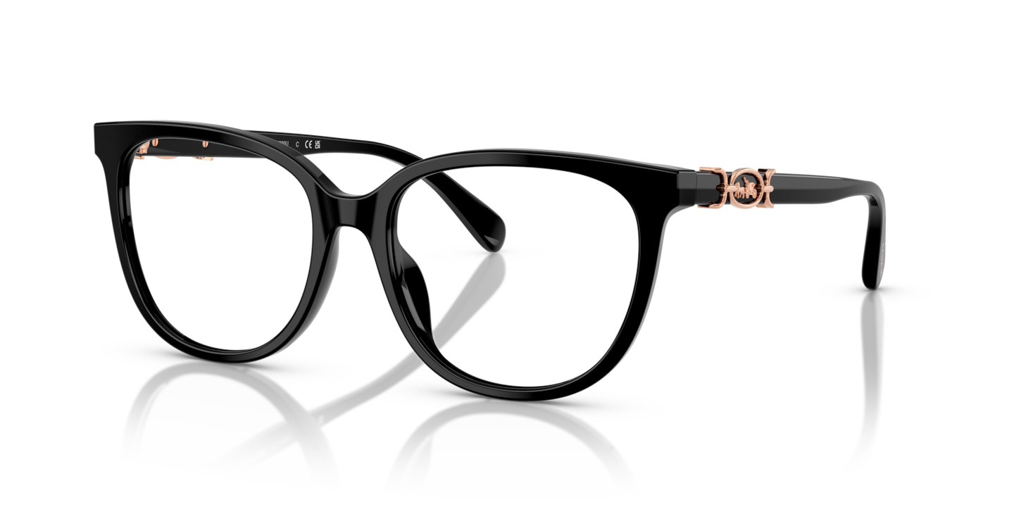 Coach HC6260U Black