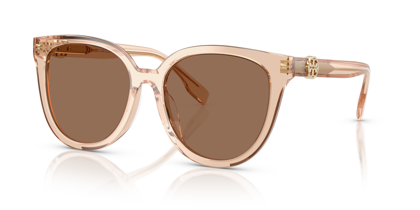Tory Burch TY7213D Transparent Brown