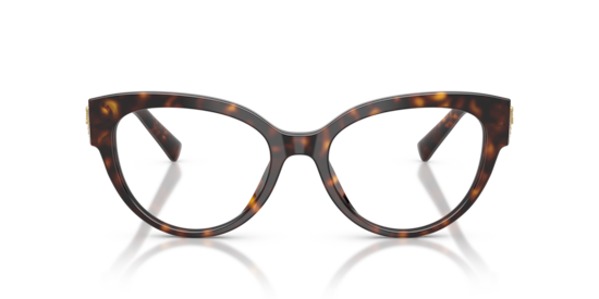DG3440 Dolce & Gabbana Havana