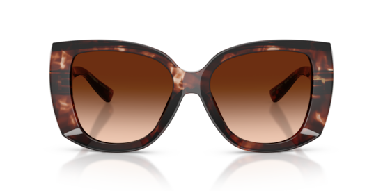 DG4495 Dolce & Gabbana Dark Red Havana