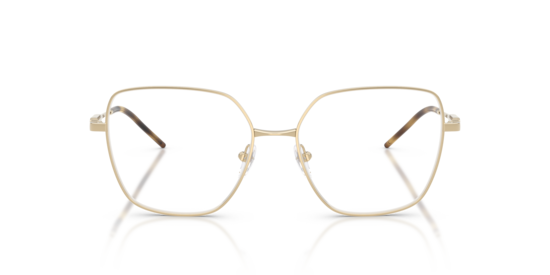 EA1192 Emporio Armani Shiny Pale Gold