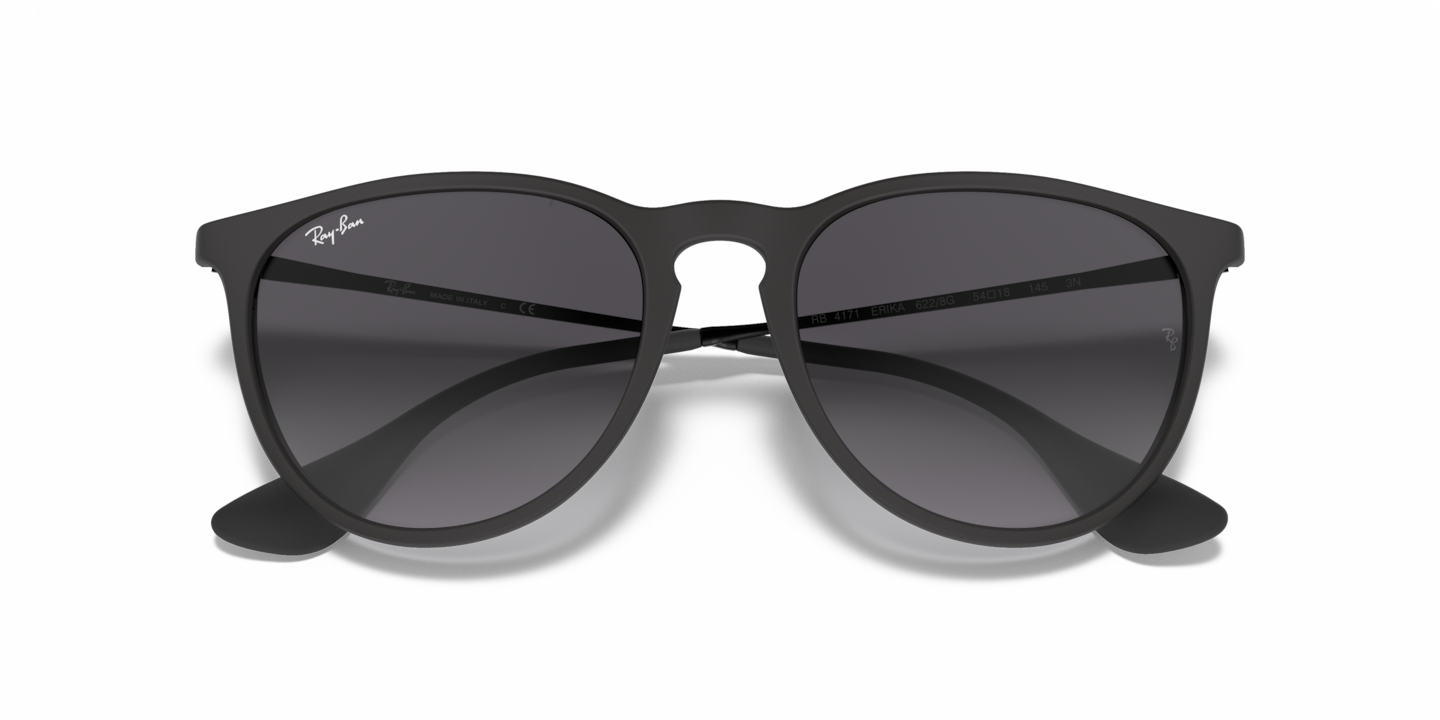 Sunglasses Ray-Ban RB4171 Erika Classic | Free Shipping | Glasses.com®