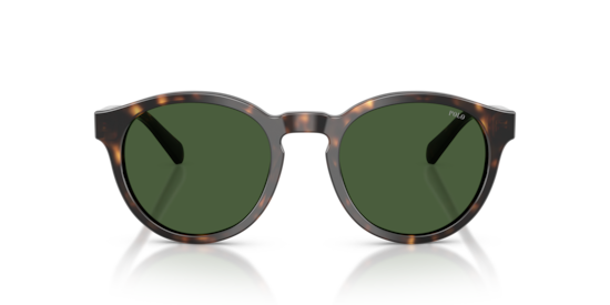 PH4192 Polo Ralph Lauren Shiny Dark Havana