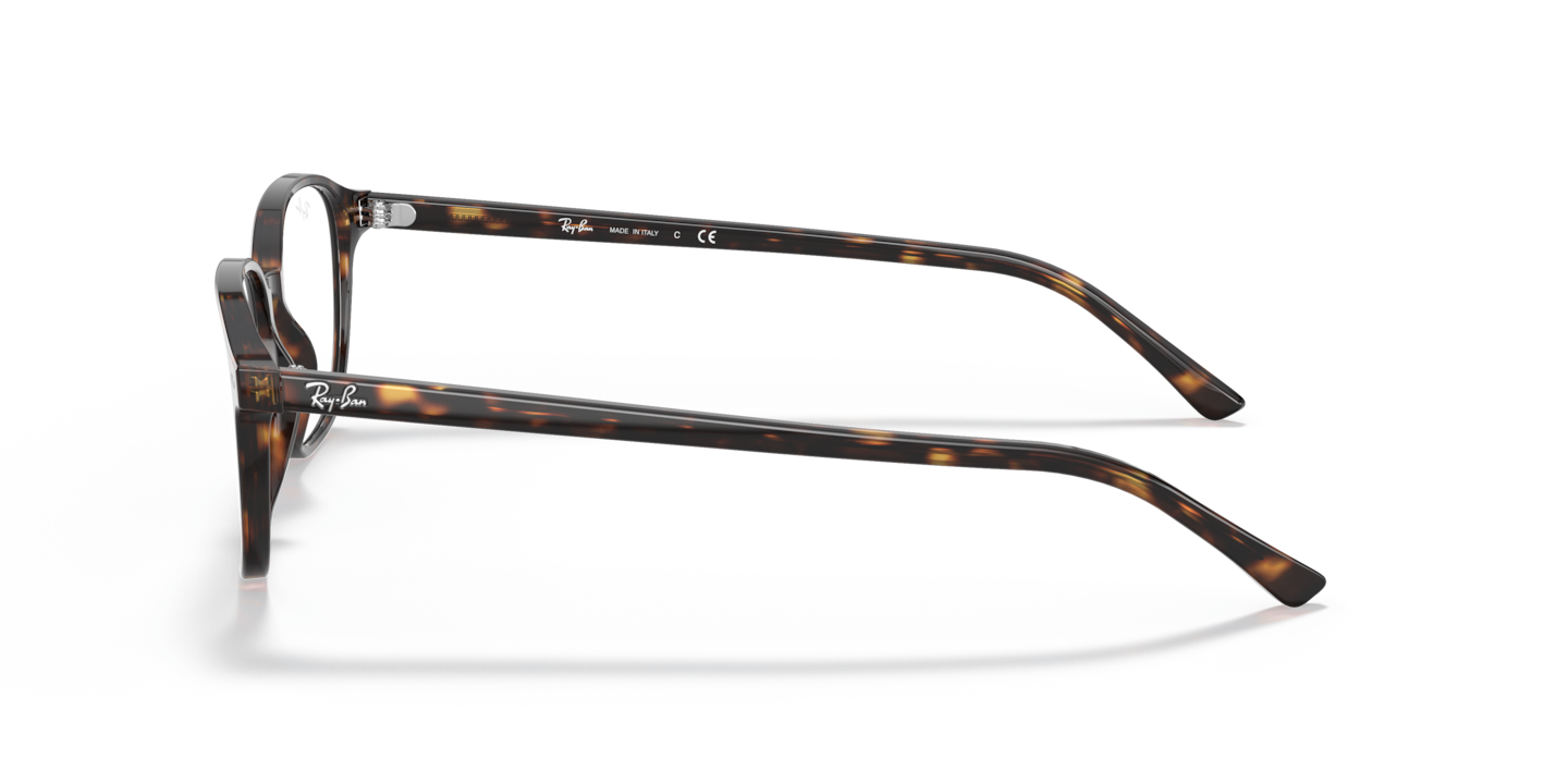 Eyeglasses Ray-Ban RB5393 Leonard Optics | Free Shipping | Glasses