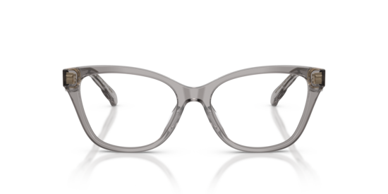 TY2170U Tory Burch Transparent Grey