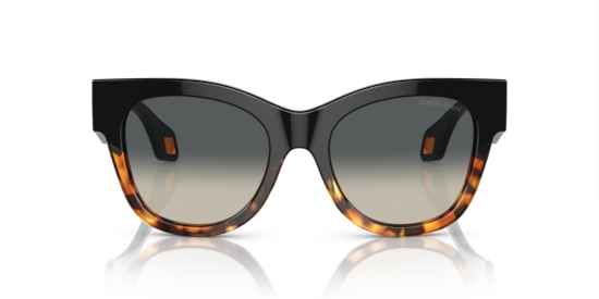 AR8195U Giorgio Armani Black/Yellow Havana