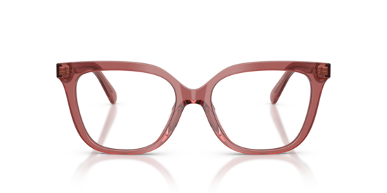 HC6302U Coach Transparent Smoke Pink