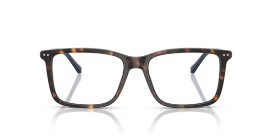PH2287 Polo Ralph Lauren Shiny Havana