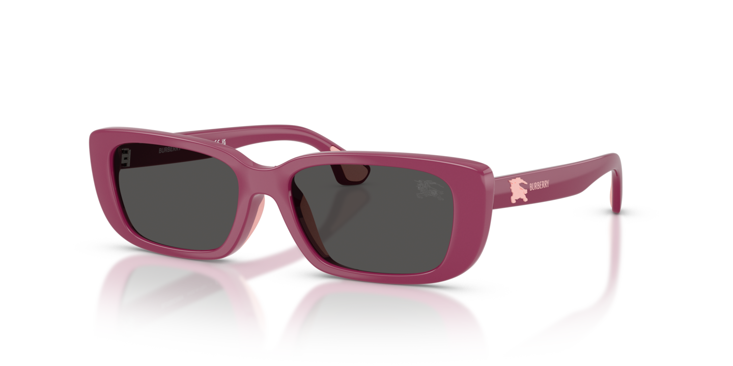 Burberry JB4006U Violet