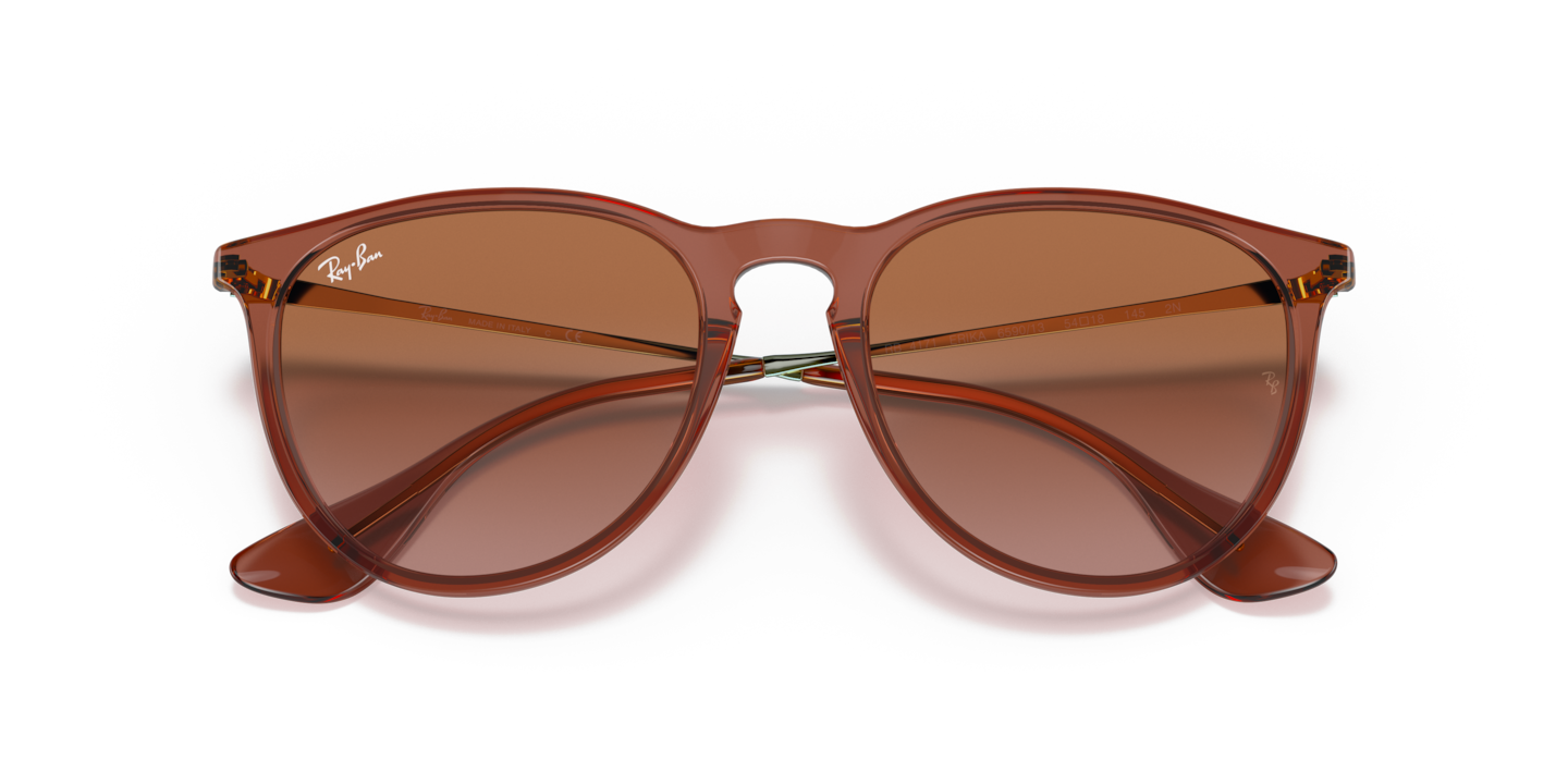Sunglasses Ray-Ban RB4171 Erika Classic | Free Shipping | Glasses.com®