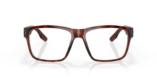 6A9049V Paunch RX Costa Tortoise
