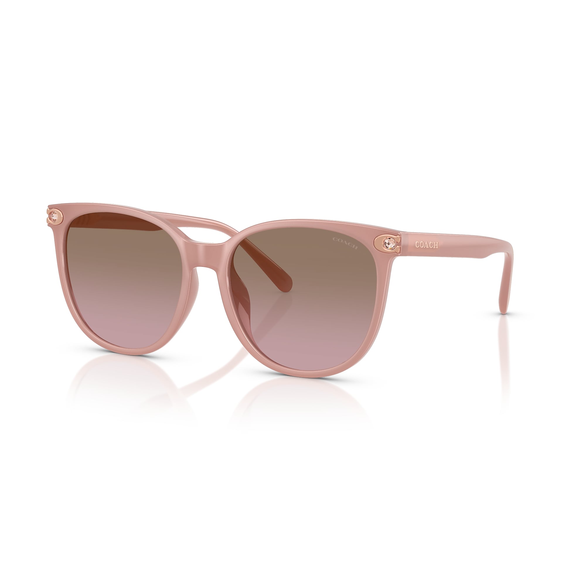 Sunglasses Coach HC8414BD CW428 | Free Shipping | Glasses.com®