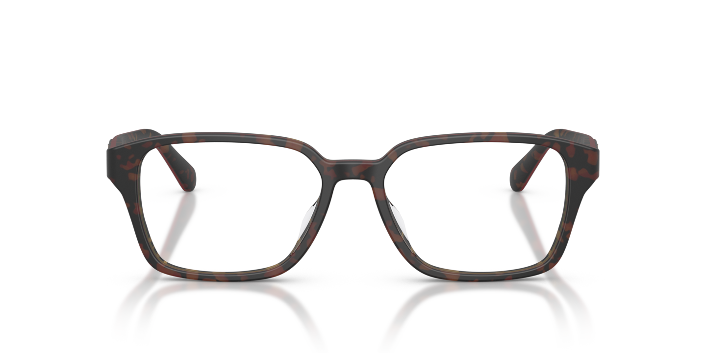 Eyeglasses Scuderia Ferrari FZ8029D | Free Shipping | Glasses.com®