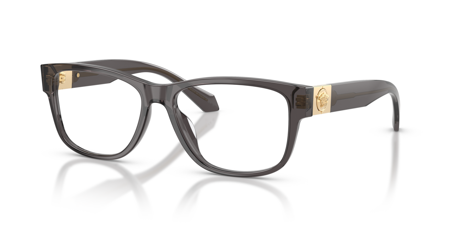 Versace VE3403U Transparent Grey
