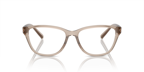 AX3111U Armani Exchange Shiny Transparent Brown
