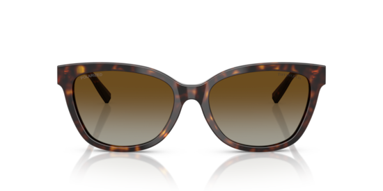 TF4237B Tiffany Havana