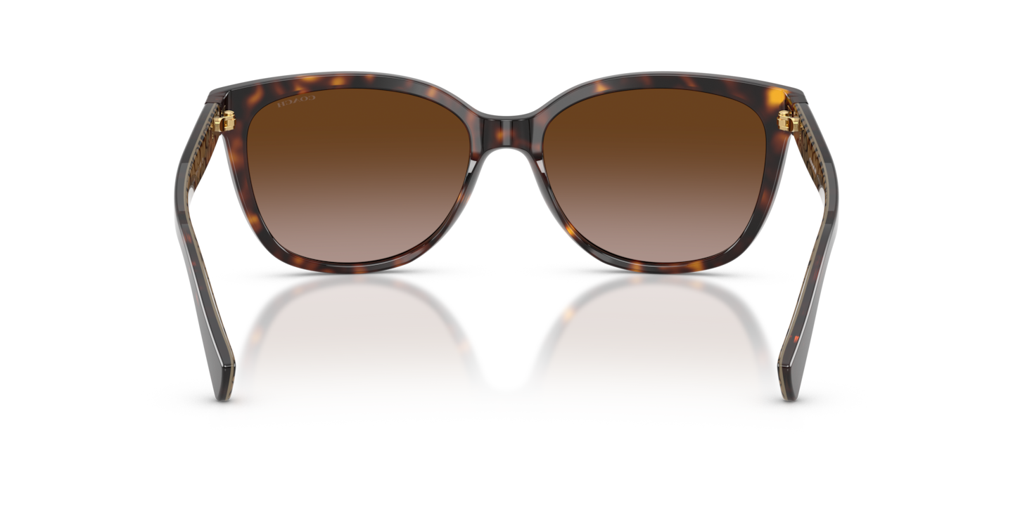 Sunglasses Coach HC8132 L109 | Free Shipping | Glasses.com® display picture 1