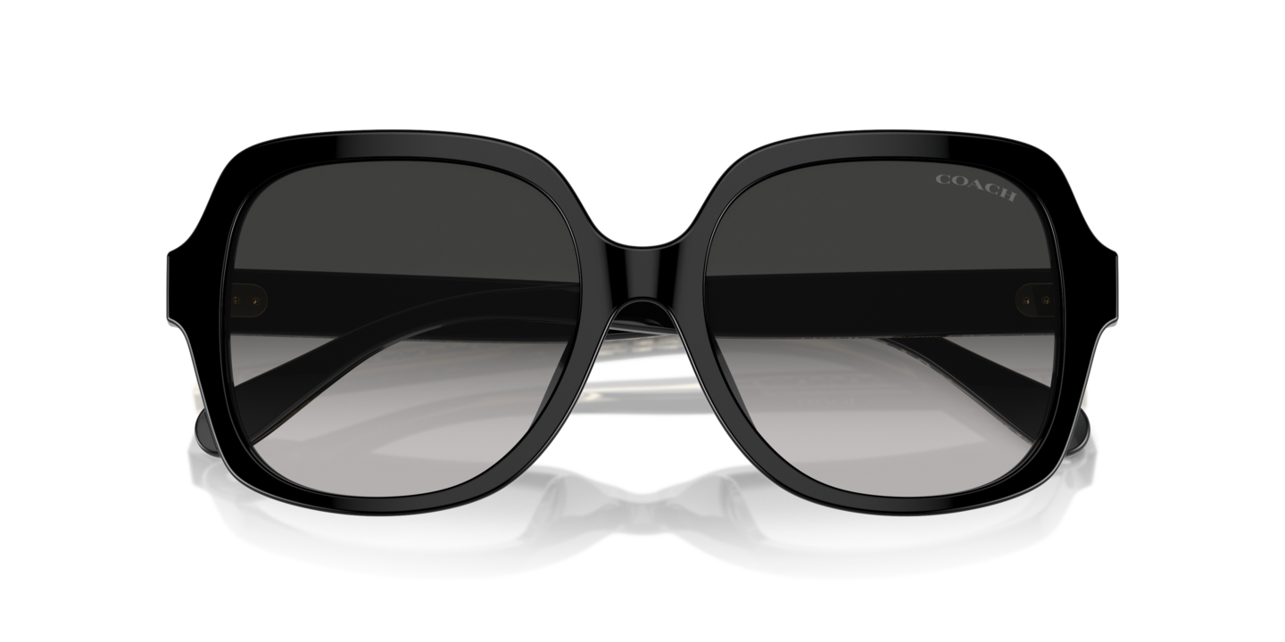 Sunglasses Coach HC8395U CR614 | Free Shipping | Glasses.com® display picture 2
