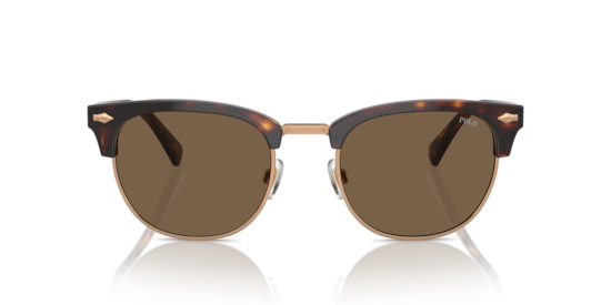 PH4217 Polo Ralph Lauren Shiny Brown Tortoise