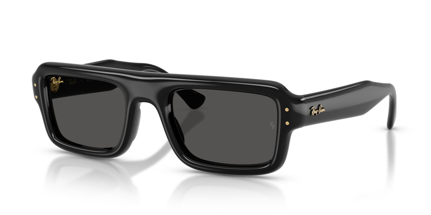 Ray-Ban RB4954 Flacko Puffer Black