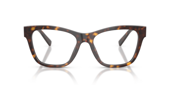 DG3430 Dolce & Gabbana Havana
