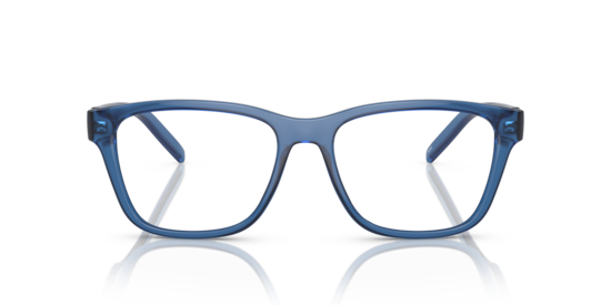 AN7229 Telmo Arnette Transparent Blue