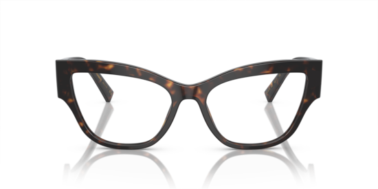 DG3378 Dolce & Gabbana Havana