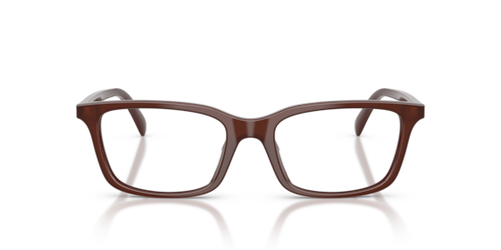 EA3290U Emporio Armani Shiny Opal Brown