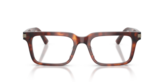 EA3293U Emporio Armani Shiny Havana Red