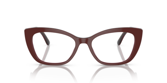 DG3360 Dolce & Gabbana Bordeaux/Transparent Bordeaux
