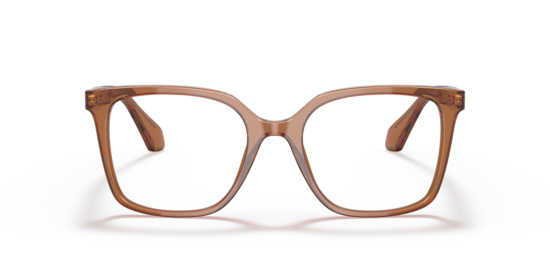AR7217 Giorgio Armani Transparent Brown