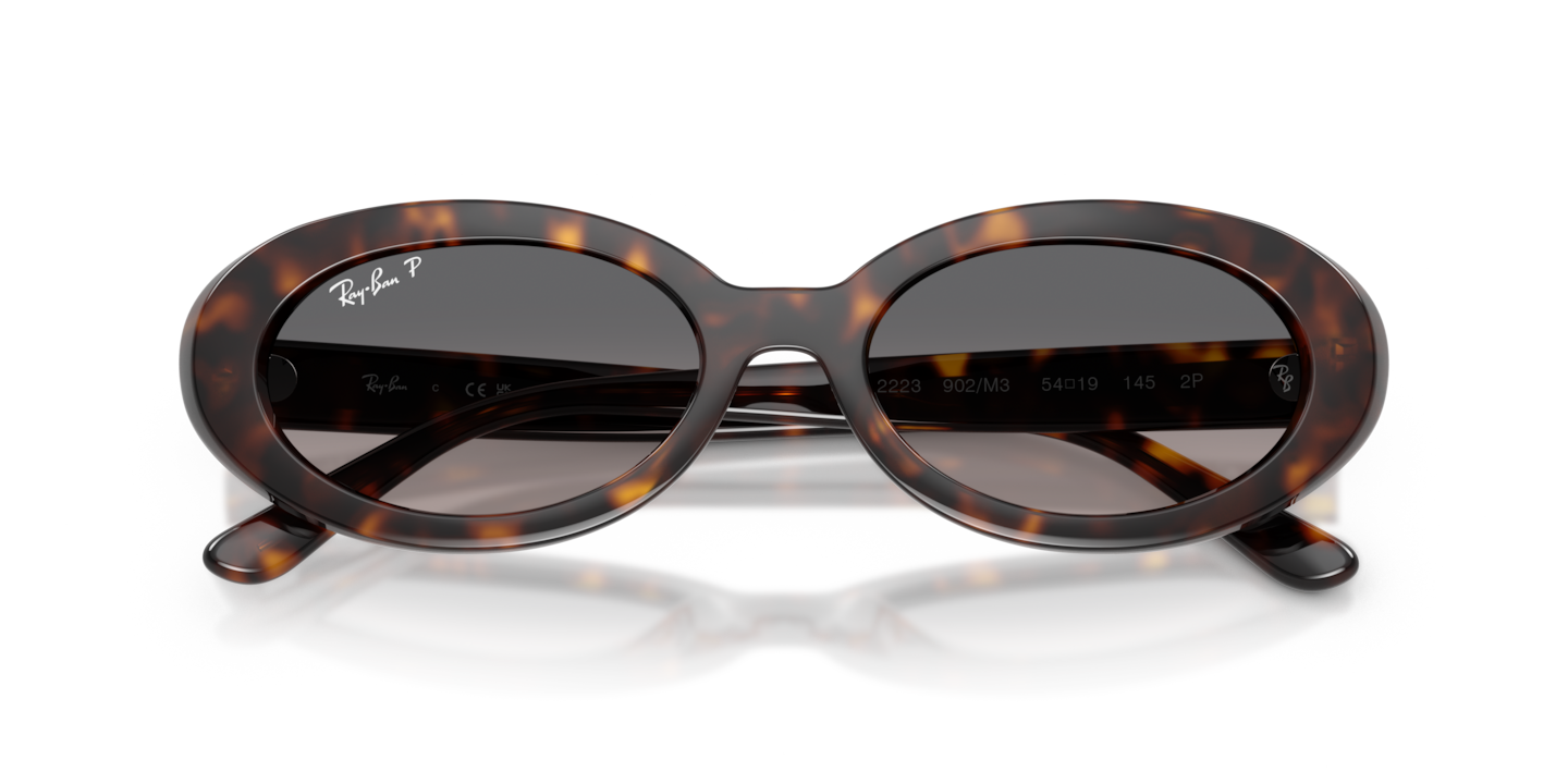 Sunglasses Ray-Ban RB2223 | Free Shipping | Glasses.com®