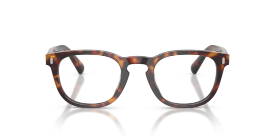PO3406V - Gianni Persol Havana