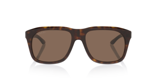 Gg2077S Gucci Tortoise