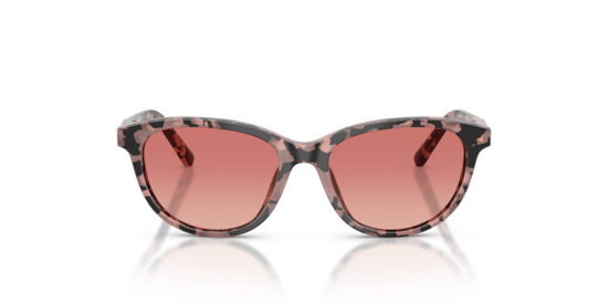 DX4010 Dolce & Gabbana Pink Havana