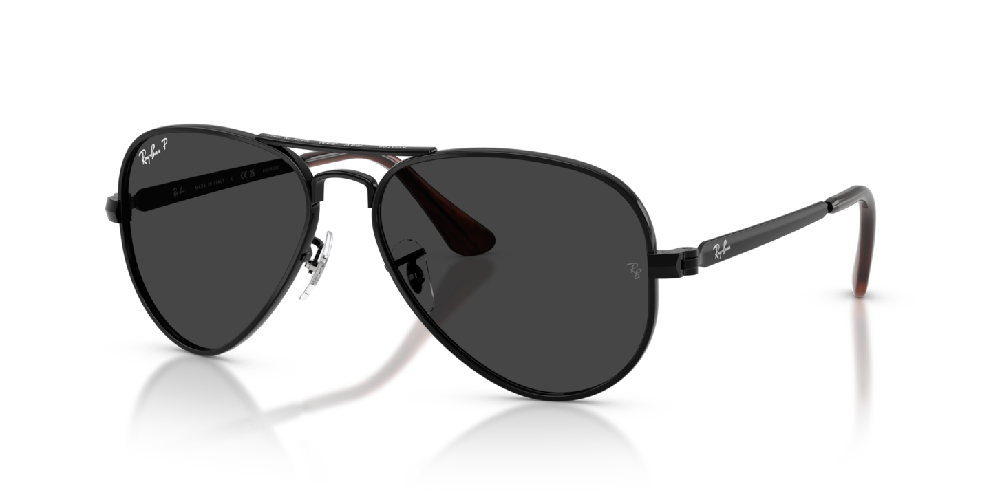 Ray-Ban RB3925 Aviator Max Black