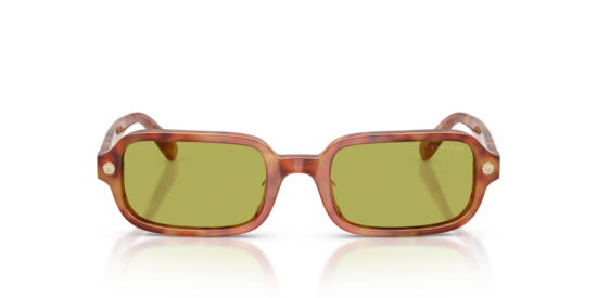 HC8465U CFU11 Coach Caramel Tortoise