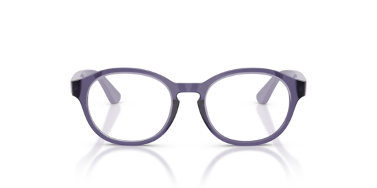VY2041 Vogue Eyewear Transparent Violet
