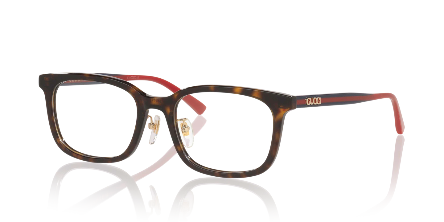 Gucci GG1873OK Tortoise