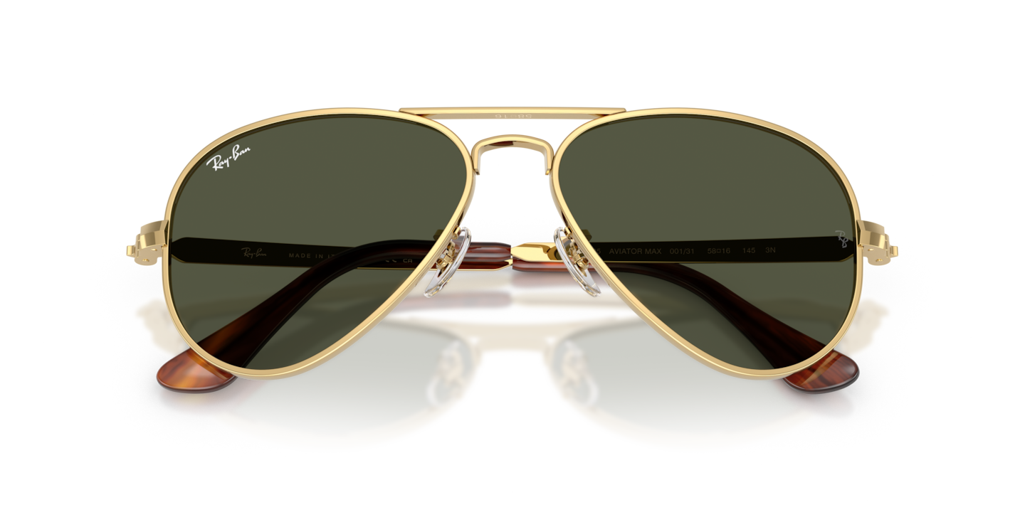 Sunglasses Ray-Ban RB3925 Aviator Max | Free Shipping | Glasses.com®
