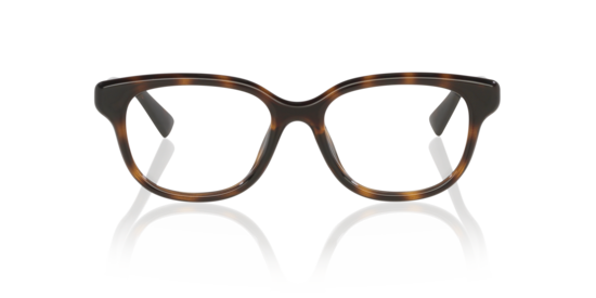 GG1833OK Gucci Tortoise
