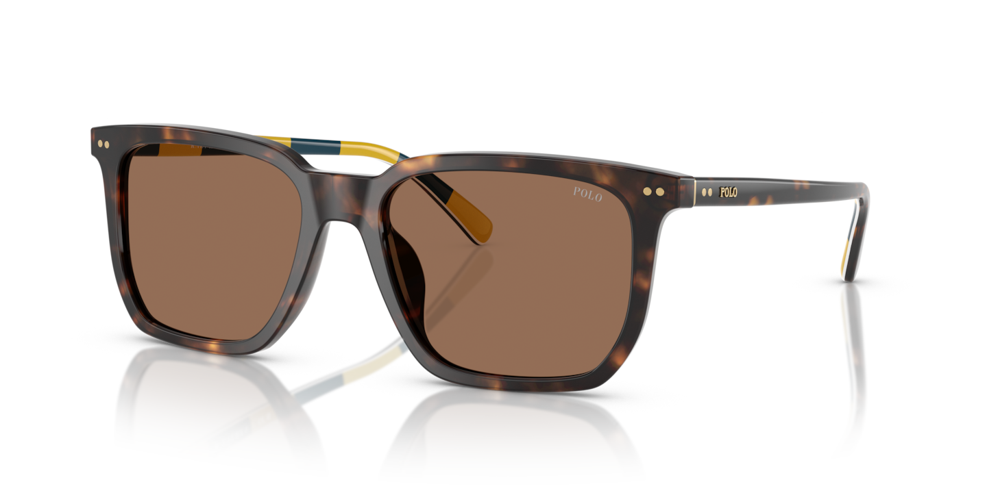 Polo Ralph Lauren PH4224U Shiny Dark Havana