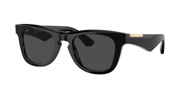 Shop Mens Sunglasses Burberry at Glasses.com | Glasses.com®