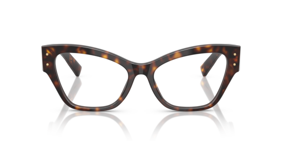 DG3404 Dolce & Gabbana Havana