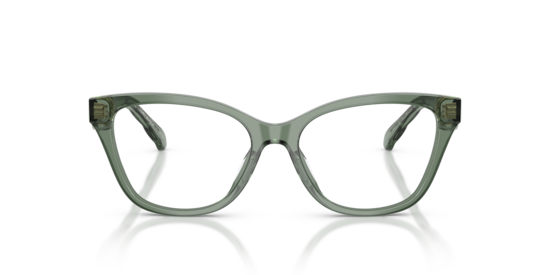 TY2170U Tory Burch Transparent Sage