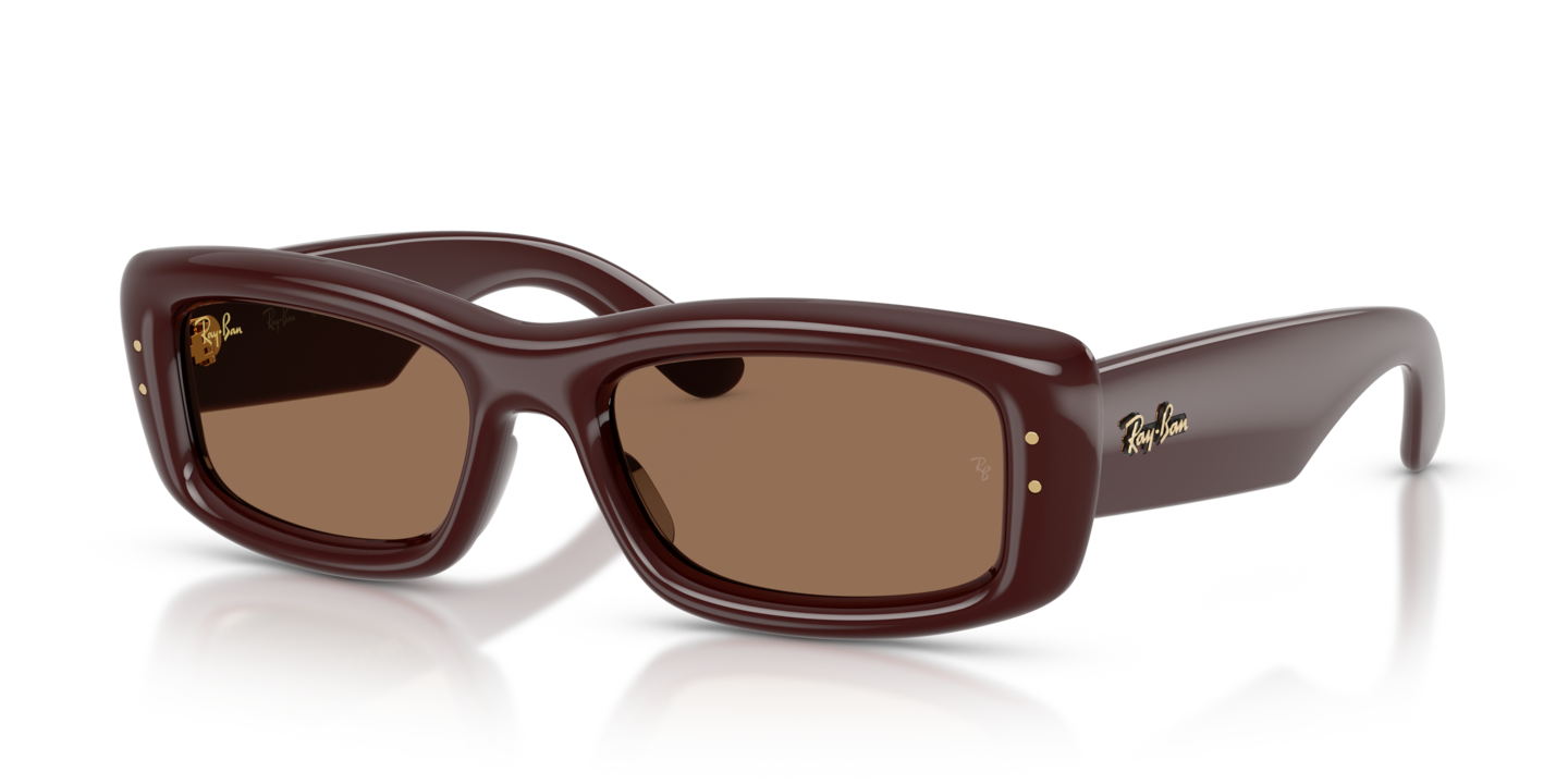 Ray-Ban RB4944 Kiliane Puffer Transparent Dark Brown